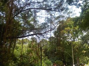 IMG00204-20110723-1129