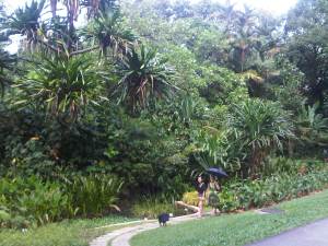 IMG00205-20110723-1130