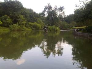 IMG00206-20110723-1131