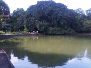 IMG00209-20110723-1133