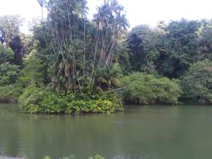 IMG00210-20110723-1134