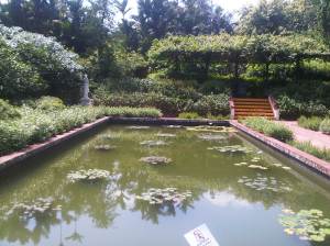 IMG00211-20110723-1136