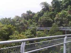 IMG00283-20110918-1416