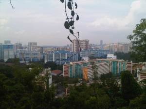 IMG00308-20111002-1423