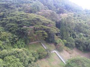 IMG00328-20111002-1512