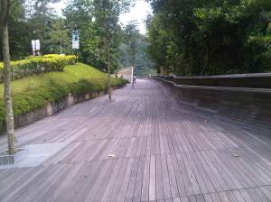 IMG00330-20111002-1516