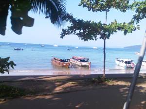 IMG00454-20120210-0910