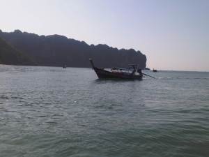 IMG00460-20120210-0930