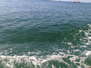 IMG00461-20120210-0932