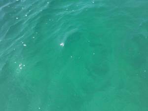 IMG00479-20120210-1000