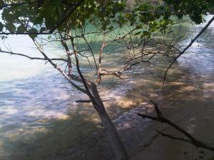 IMG00503-20120210-1124