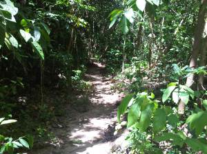 IMG00569-20120210-1322