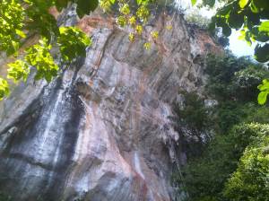 IMG00571-20120210-1323