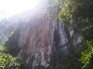 IMG00573-20120210-1324