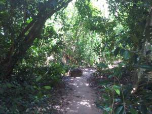 IMG00574-20120210-1324