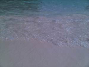 IMG00598-20120210-1402