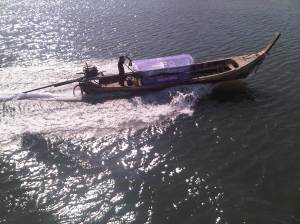 IMG00627-20120211-0933