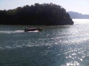 IMG00628-20120211-0937