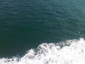 IMG00630-20120211-0946