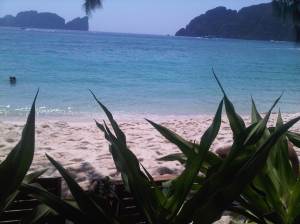 IMG00682-20120211-1339