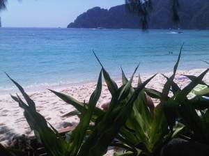 IMG00683-20120211-1339