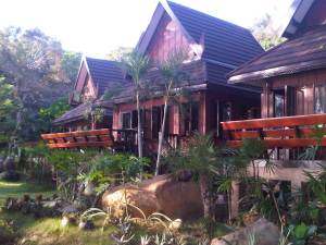 IMG00695-20120211-1719