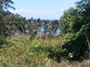 IMG00714-20120212-1319