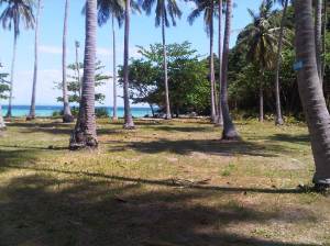 IMG00716-20120212-1323