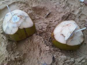 IMG00721-20120212-1414