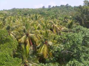 IMG00933-20120407-1028