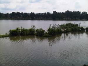 IMG00980-20120512-1123