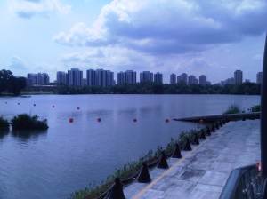 IMG00981-20120512-1123