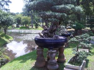 IMG00984-20120512-1148