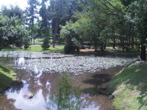 IMG00986-20120512-1149