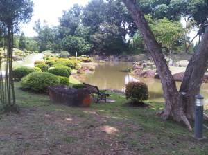 IMG00997-20120512-1221