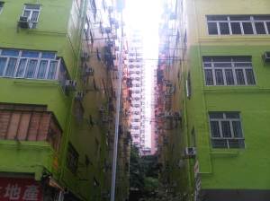 IMG01050-20120526-1412