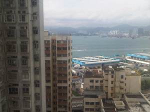 IMG01052-20120526-1622