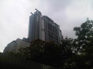 IMG01077-20120526-1709