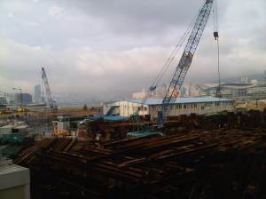 IMG01095-20120526-1744