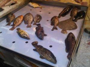 IMG01294-20120528-1314