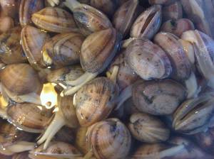 IMG01299-20120528-1316