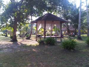 IMG01347-20120617-0749