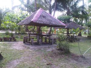 IMG01349-20120616-1513