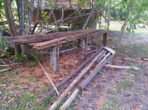 IMG01352-20120616-1523