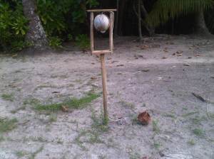 IMG01353-20120616-1523