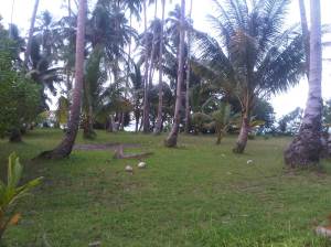 IMG01358-20120616-1524