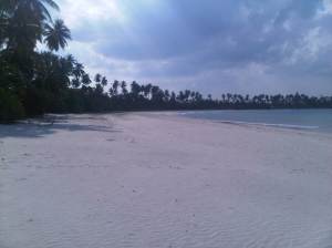 IMG01363-20120616-1526