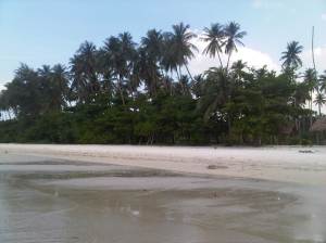 IMG01366-20120616-1528