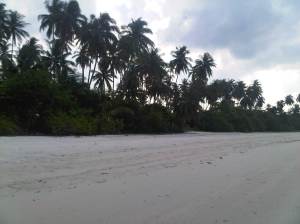 IMG01374-20120616-1530