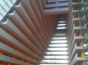 IMG01441-20120630-1846